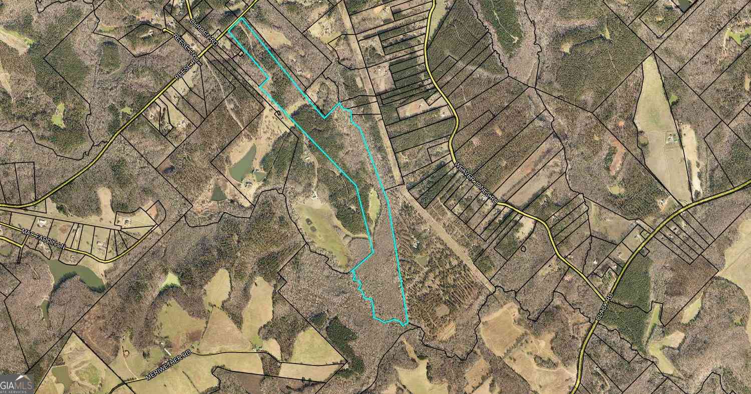 Vacant Land For Sale - 2230 Reese Road #TRACT C<br/> Rutledge, GA 30663