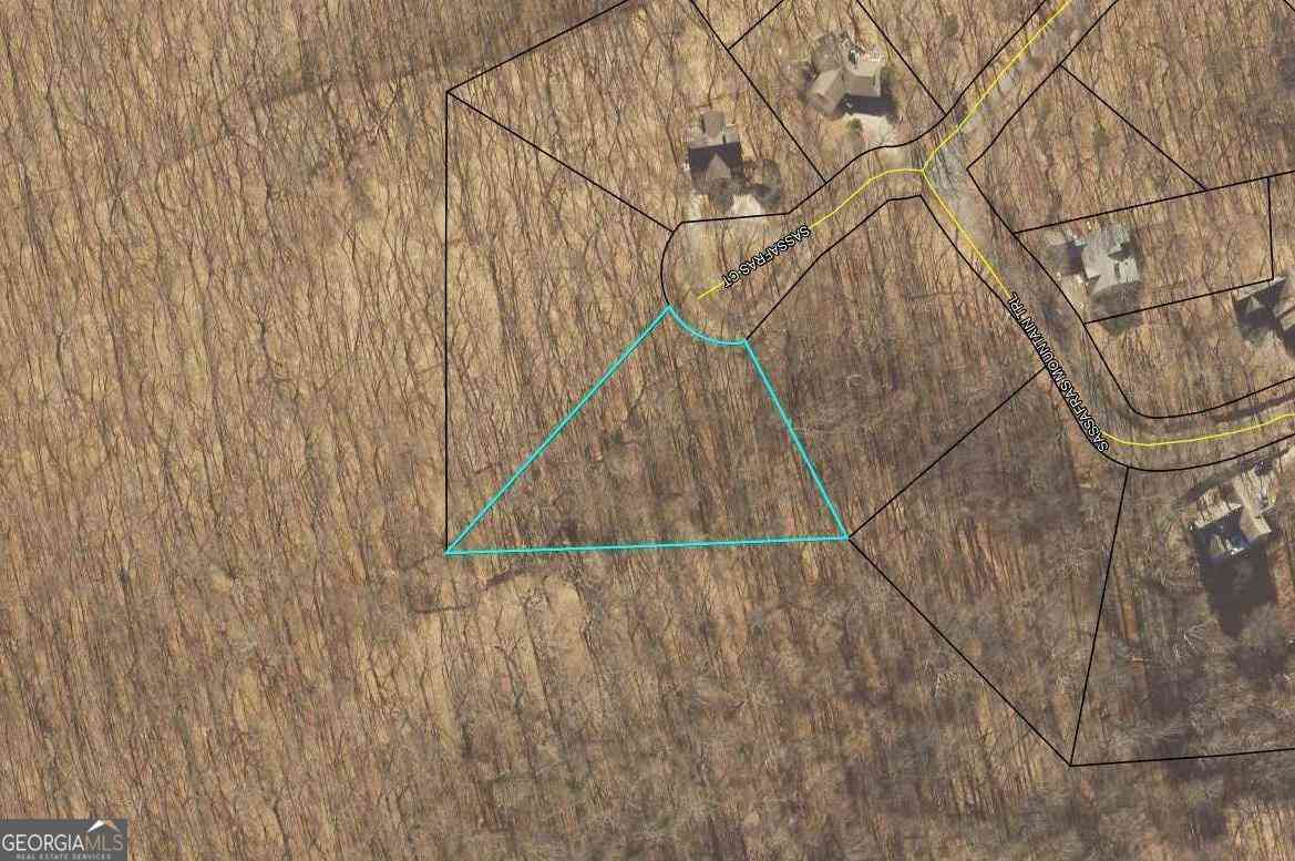 Vacant Land For Sale - Sassafras Court<br/> Jasper, GA 30143