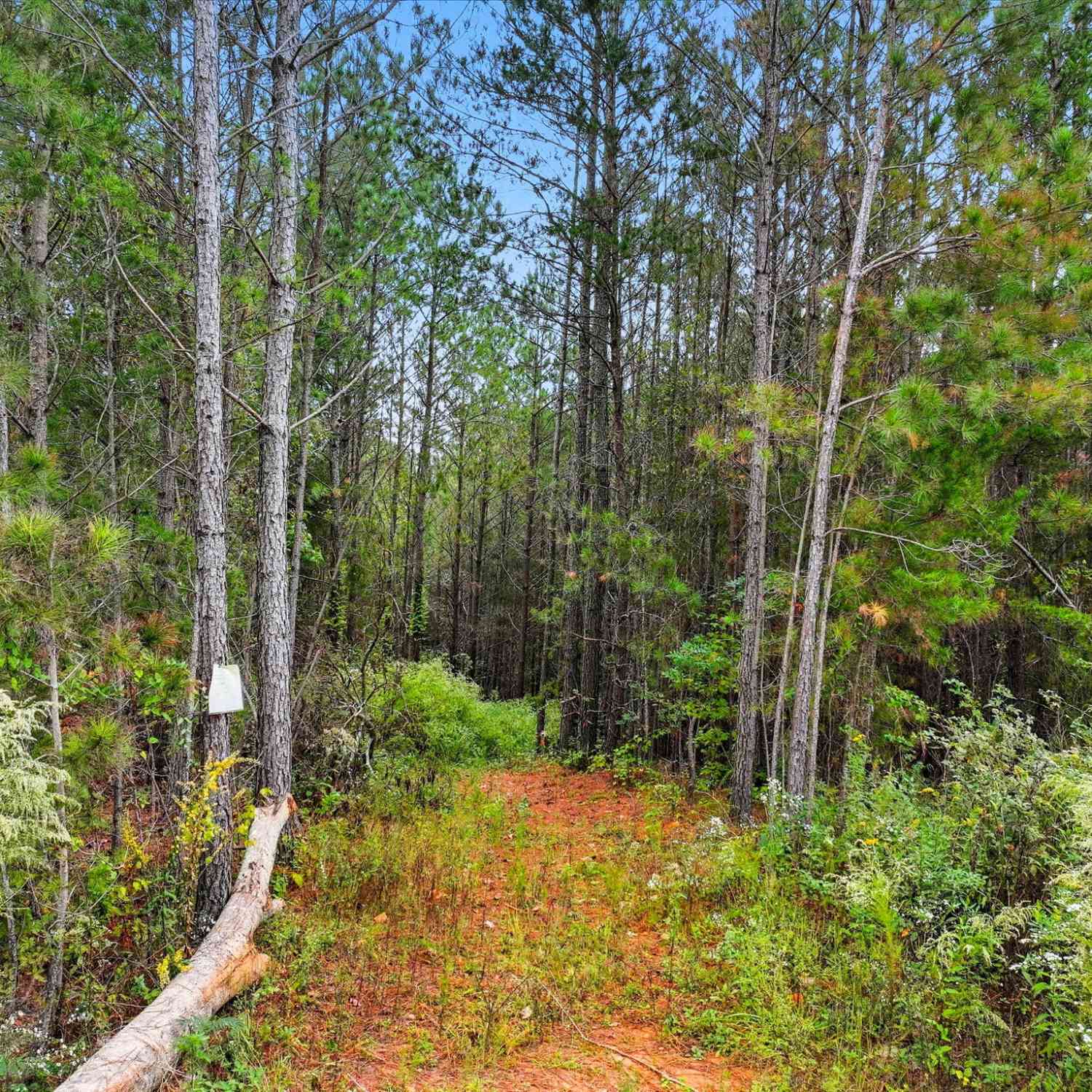 Vacant Land For Sale - Old Pleasant Valley Road<br/> Talking Rock, GA 30175