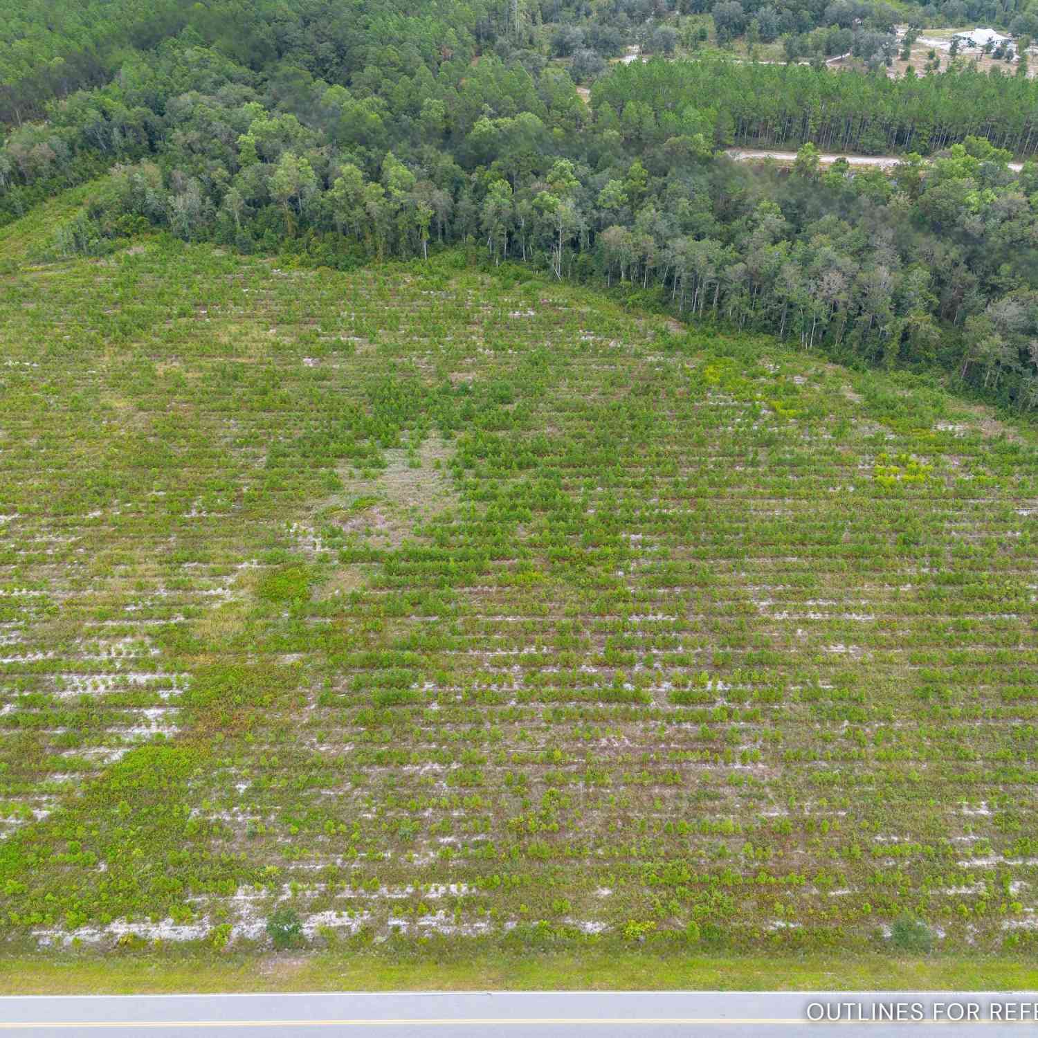 Vacant Land For Sale - TRACT 5 River Road<br/> Folkston, GA 31537