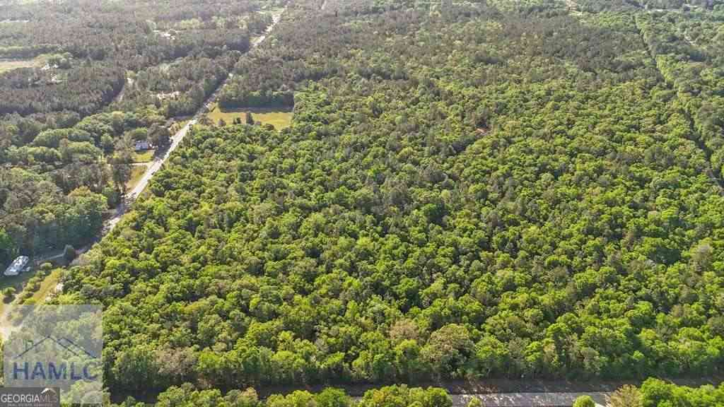 Vacant Land For Sale - Shrine Club Road<br/> Jesup, GA 31545