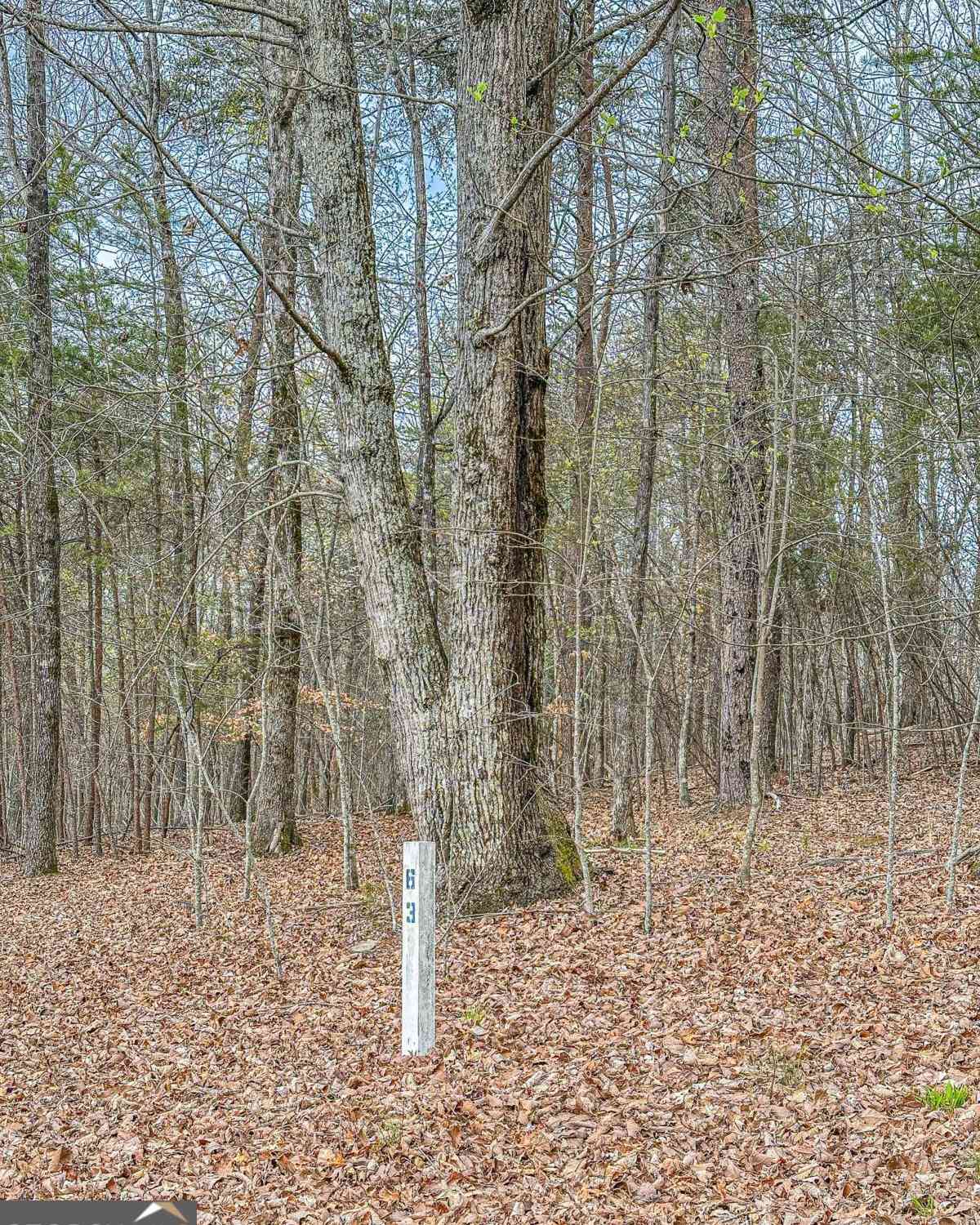 Vacant Land For Sale - Green Meadows<br/> Lumpkin County, Dahlonega, GA 30533