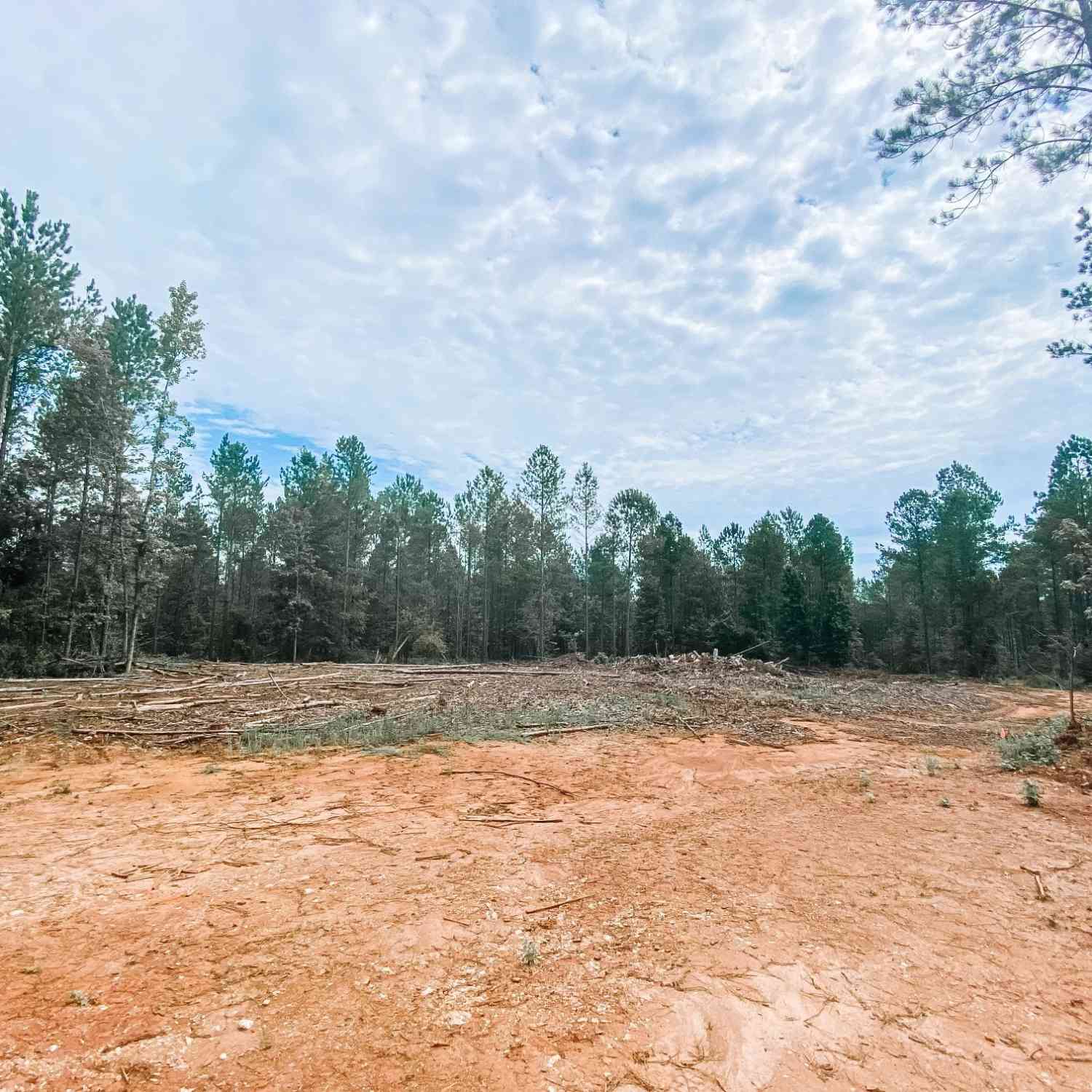 Vacant Land For Sale - Weaver Jones Road<br/> Rutledge, GA 30663