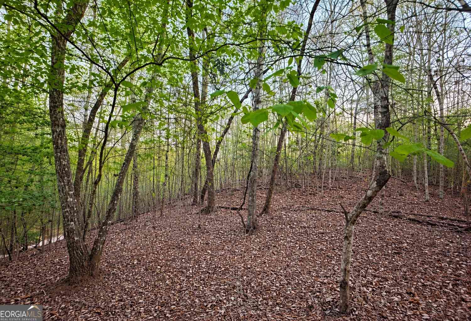 Vacant Land For Sale - LOT 5 Riverbend Manor<br/> Blue Ridge, GA 30513