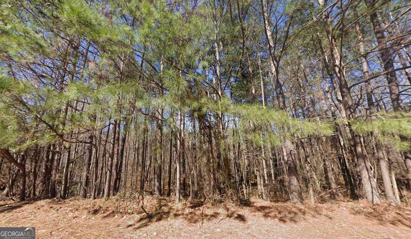 Vacant Land For Sale - 40 Wildcat Creek Drive<br/> Covington, GA 30016