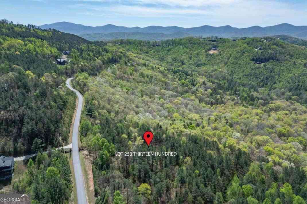 Vacant Land For Sale - LOT 253 The Cove @ 1300<br/> Blairsville, GA 30512