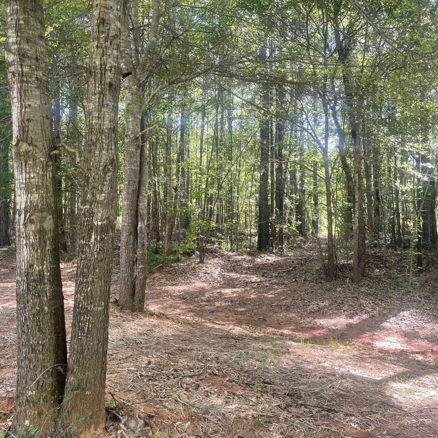 Vacant Land For Sale - Fincher Road<br/> Covington, GA 30016