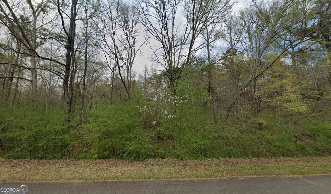 Vacant Land For Sale - 40 Riverbend Drive<br/> LaGrange, GA 30240