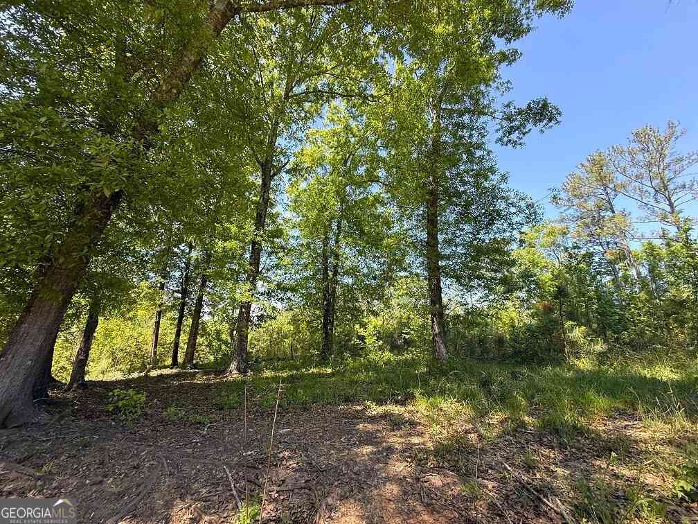 Vacant Land For Sale - 752 Old Mineral Springs Road<br/> Elberton, GA 30635