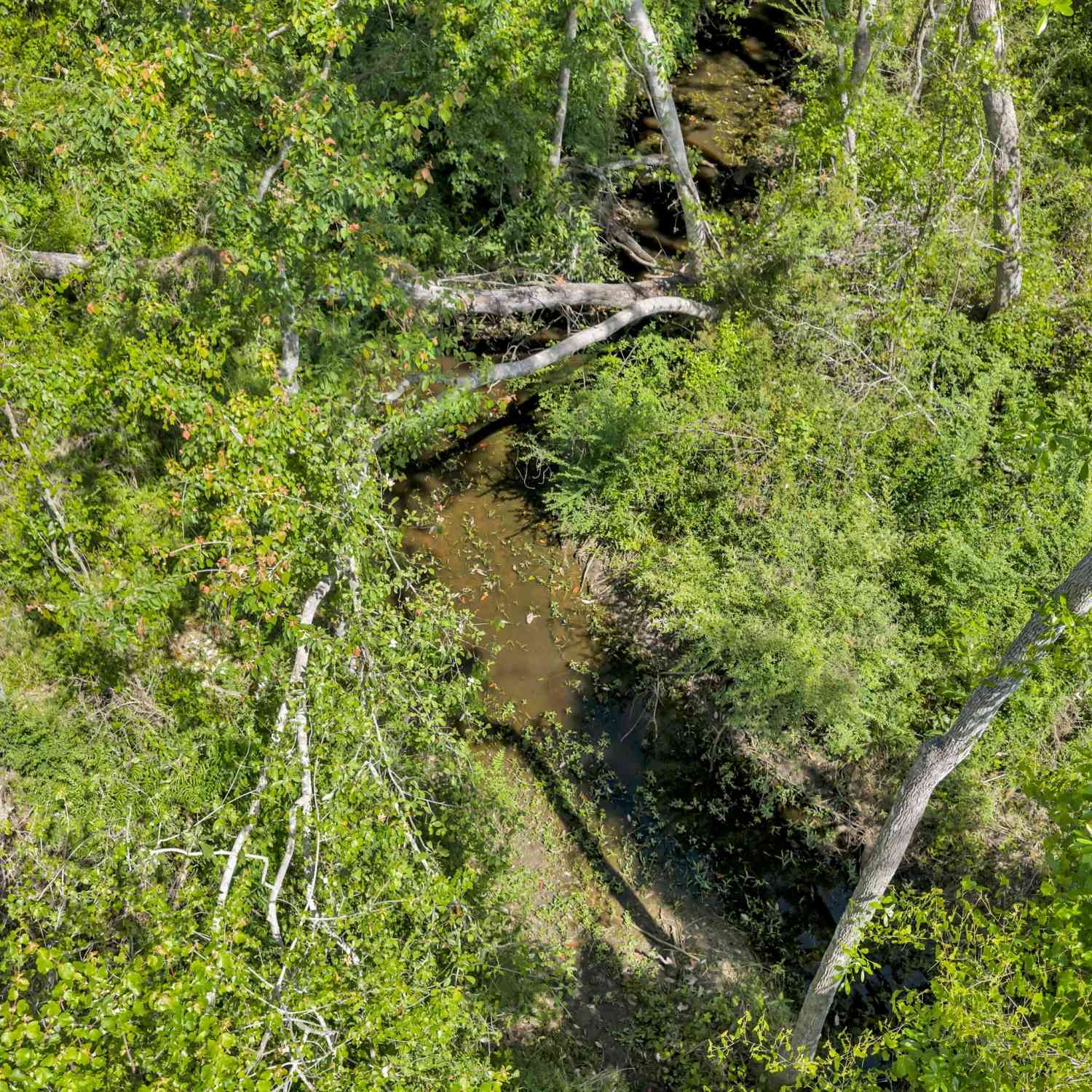 Vacant Land For Sale - Twin Oaks Road<br/> Ray city, GA 31645