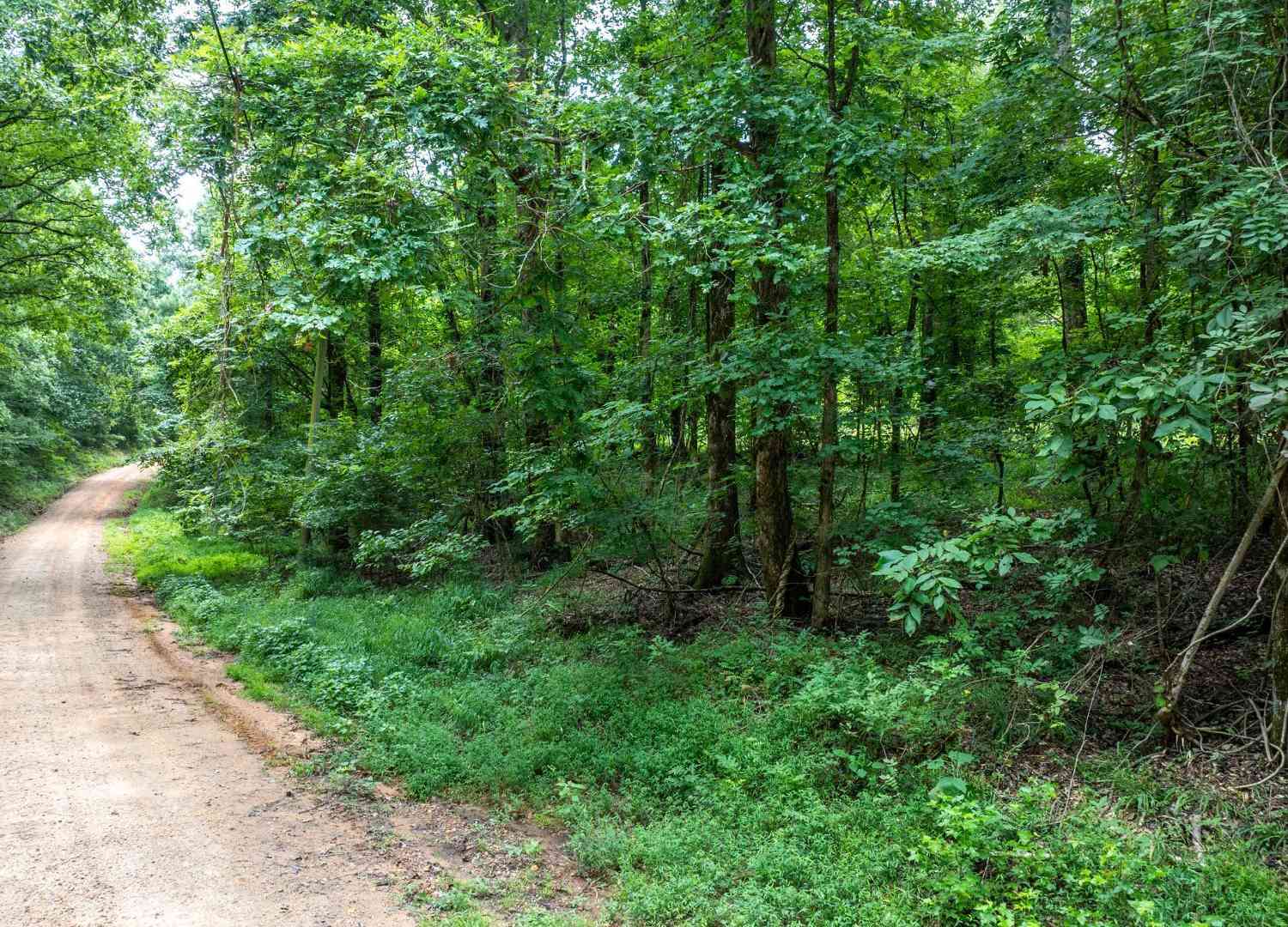 Vacant Land For Sale - 195 Sharon Road<br/> Norwood, GA 30821