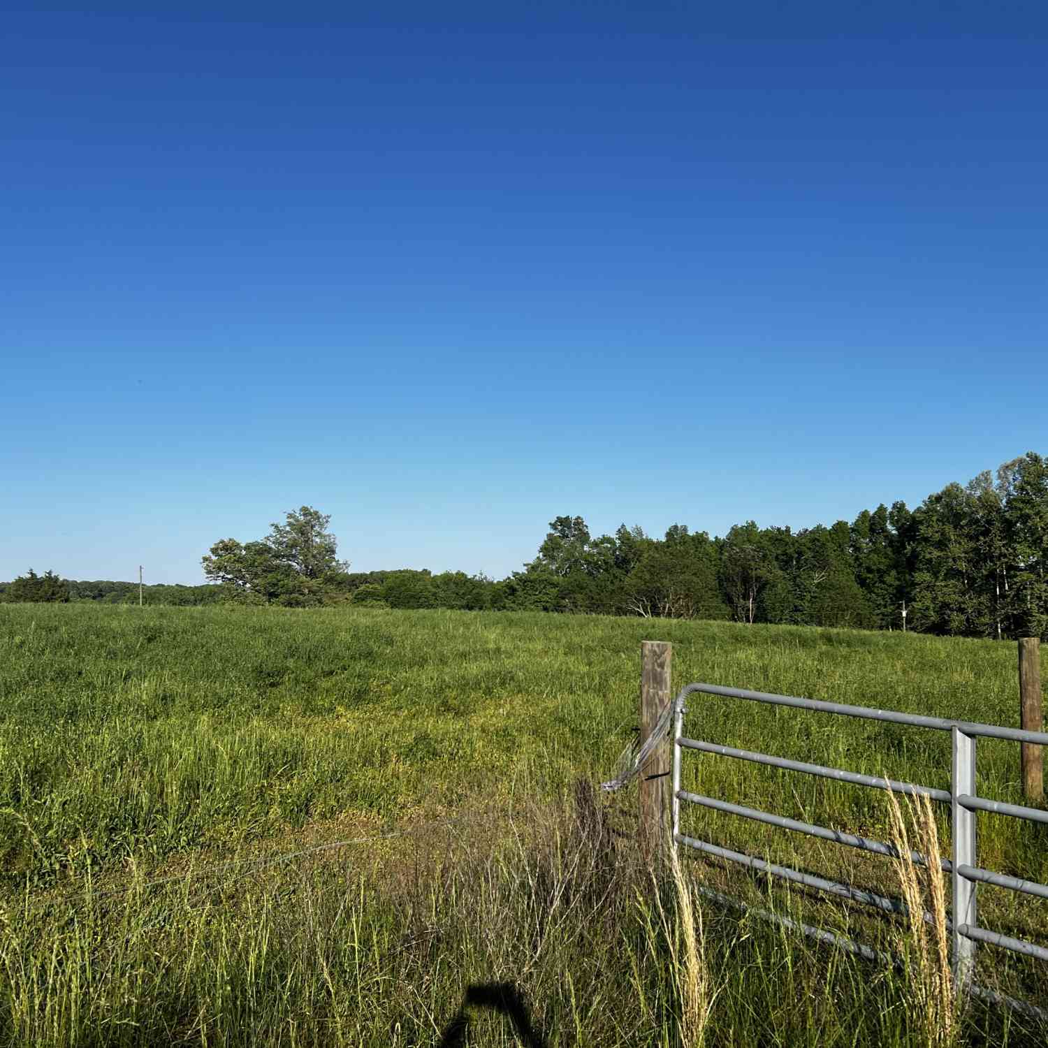 Vacant Land For Sale - Bethany Bowersville Road<br/> Bowersville, GA 30516
