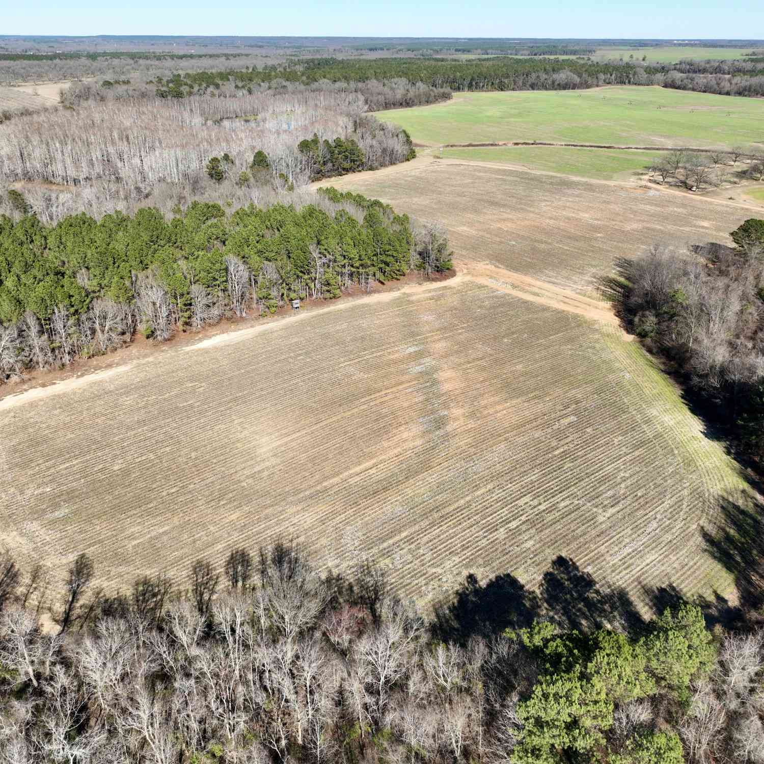 Vacant Land For Sale - Jenkins Farm Road<br/> Byromville, GA 31007