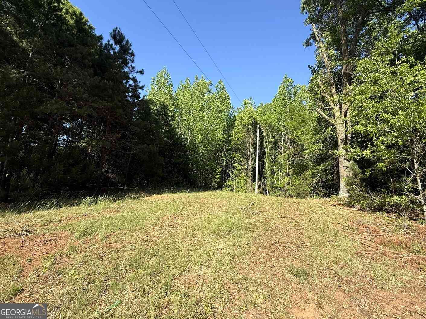 Vacant Land For Sale - 4655 Hwy 29<br/> Royston, GA 30662