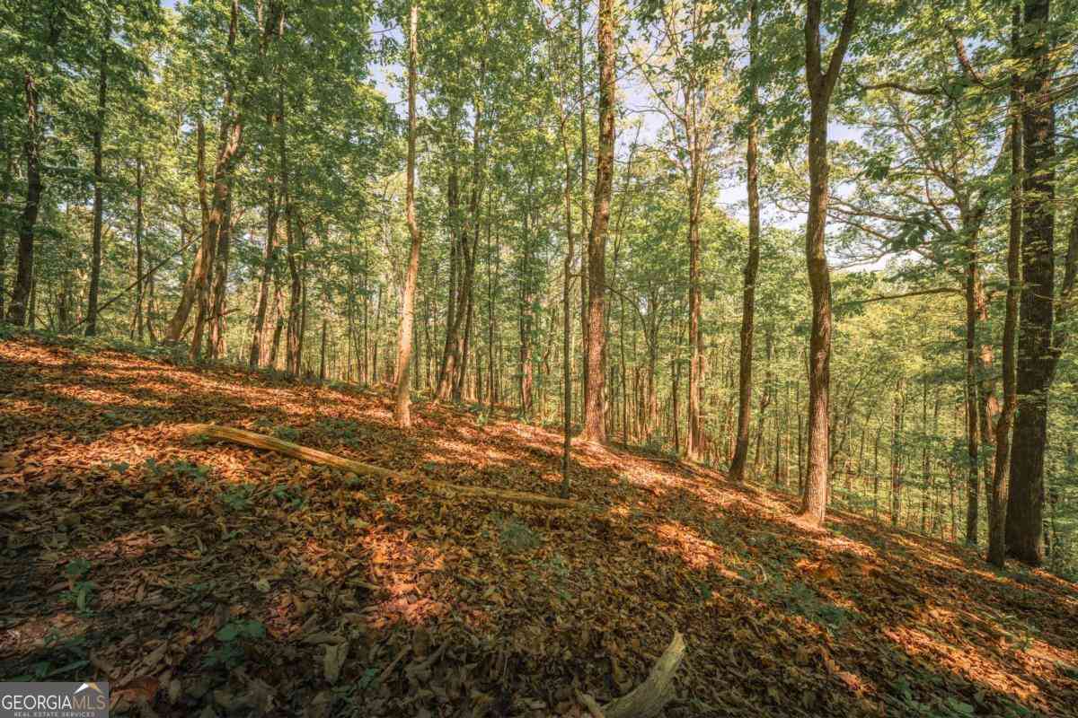 Vacant Land For Sale - Hancock Mountain Trail<br/> Waleska, GA 30183
