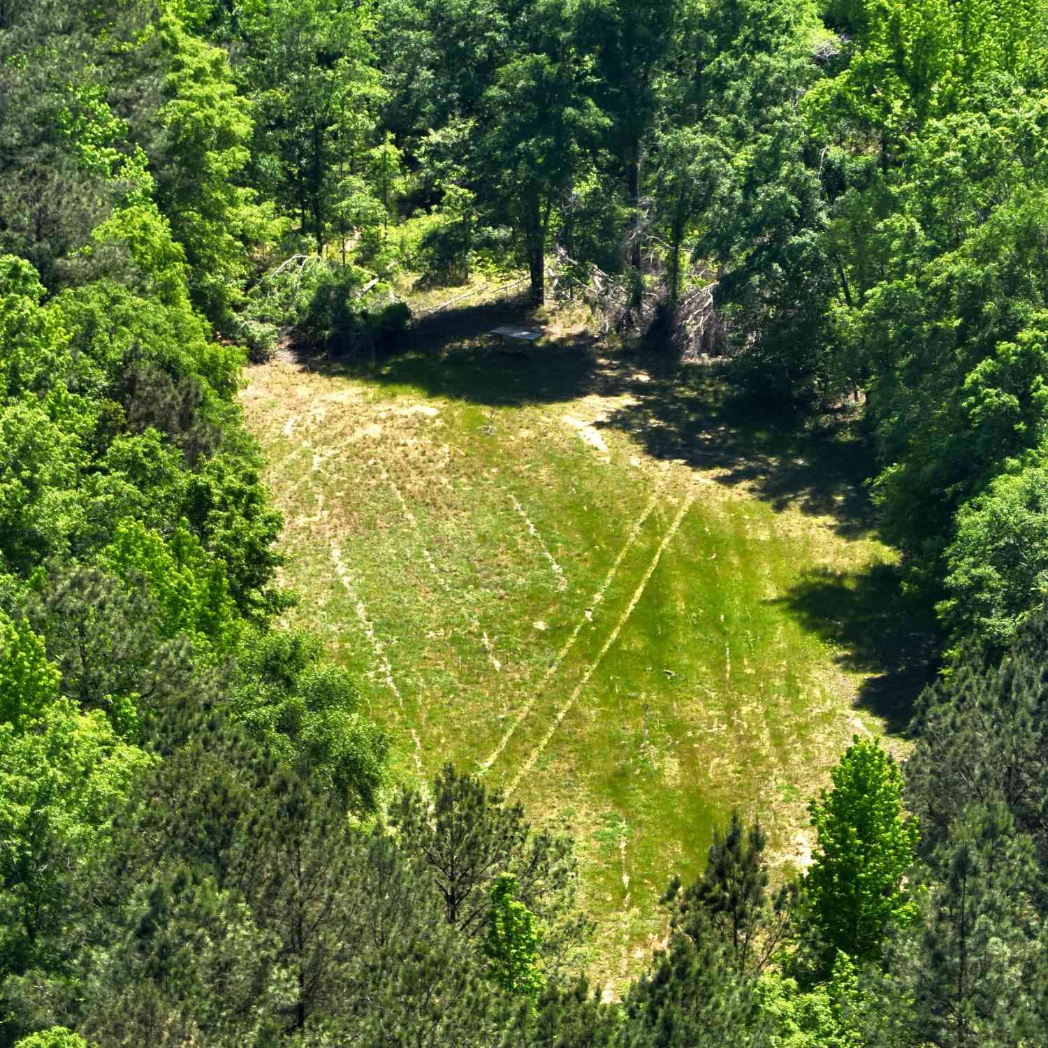 Vacant Land For Sale - 3841 Wilson Road<br/> Davisboro, GA 31018