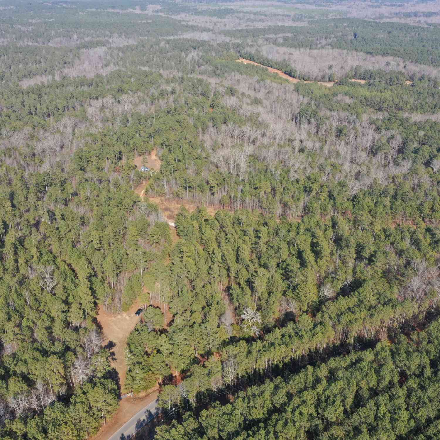 Vacant Land For Sale - Hulmes Chapel Road<br/> Elberton, GA 30635