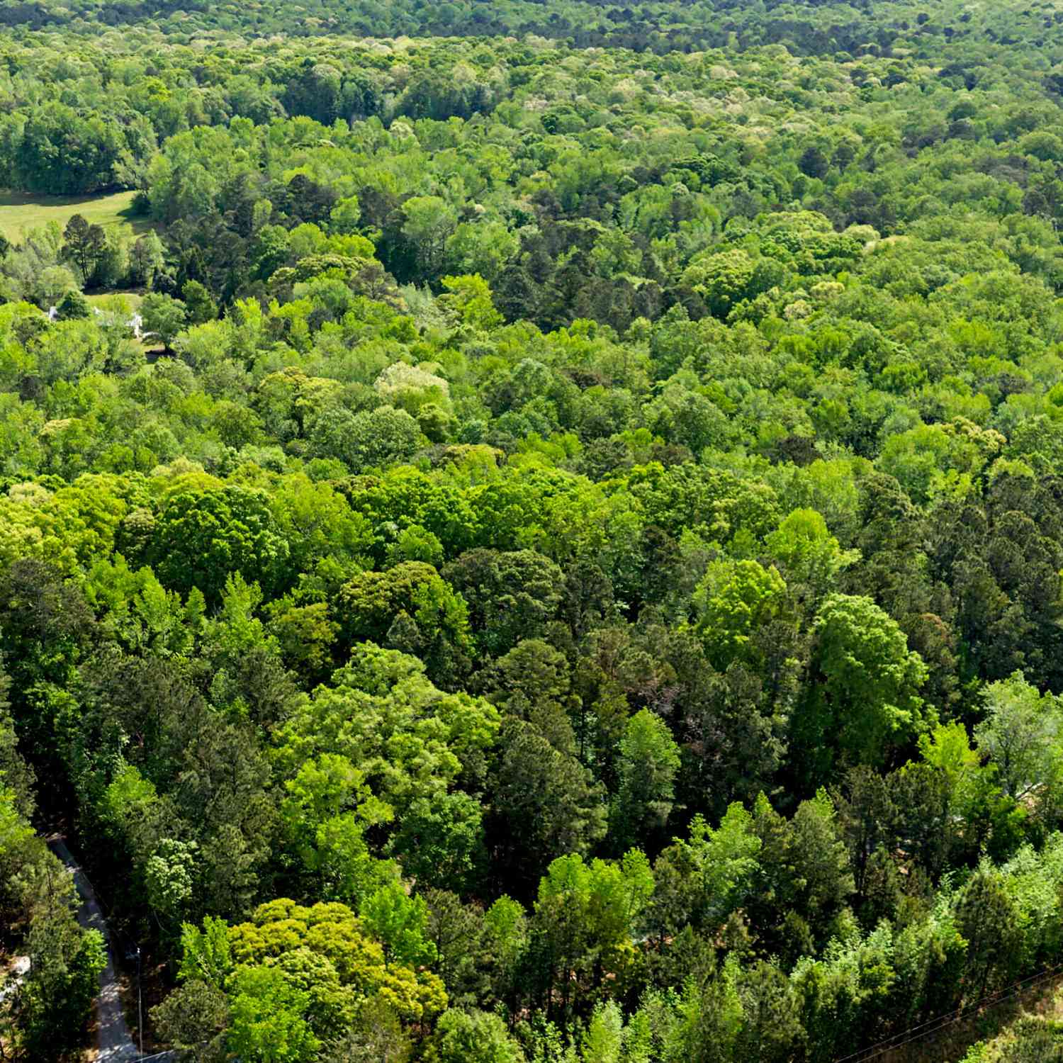 Vacant Land For Sale - N OF 482 Antioch Road - 25.596 Acres<br/> Fayetteville, GA 30215