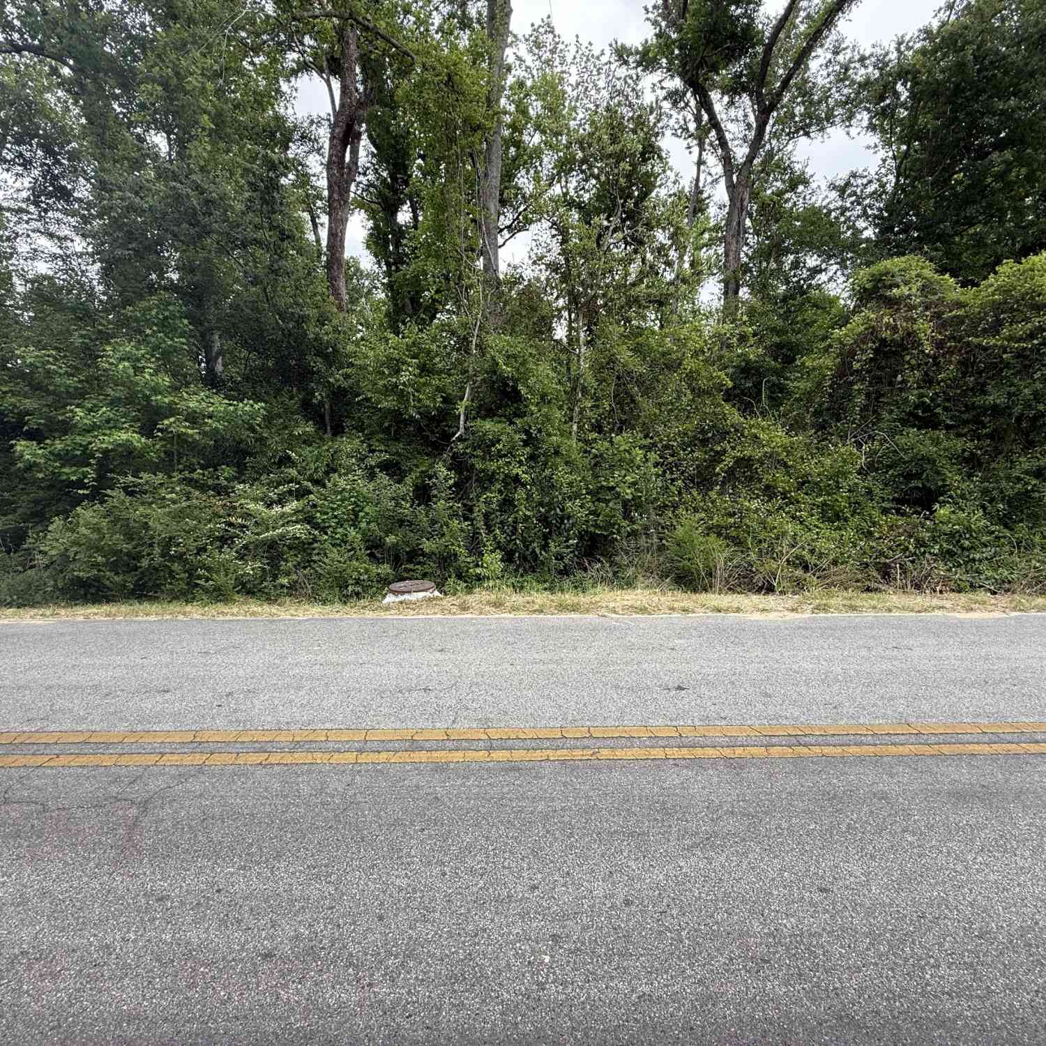 Vacant Land For Sale - Highway 56<br/> Swainsboro, GA 30401
