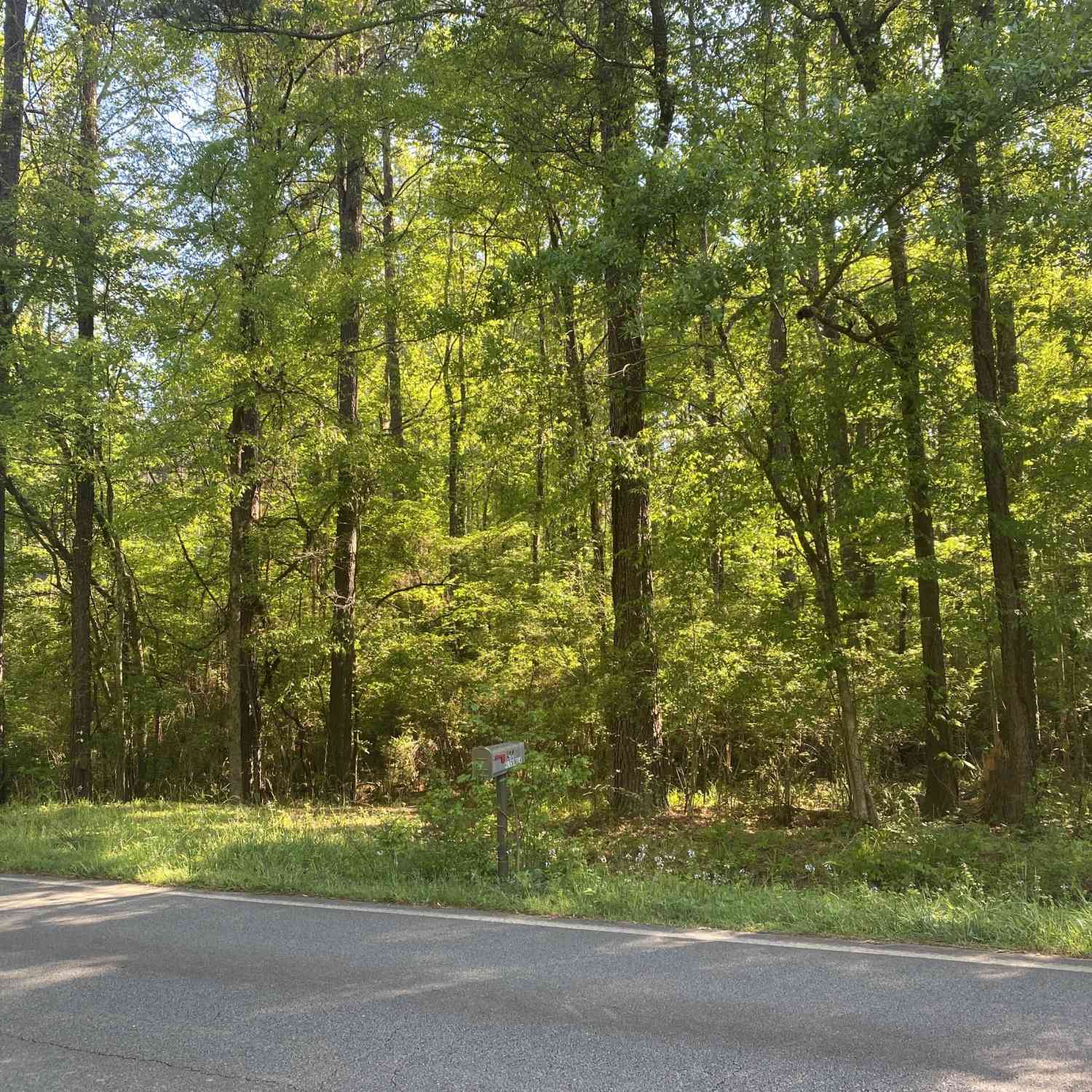 Vacant Land For Sale - 364 Turnerwoods Road<br/> Gray, GA 31032