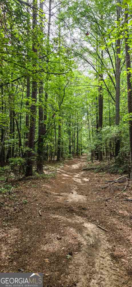 Vacant Land For Sale - Padgett Road<br/> Senoia, GA 30276