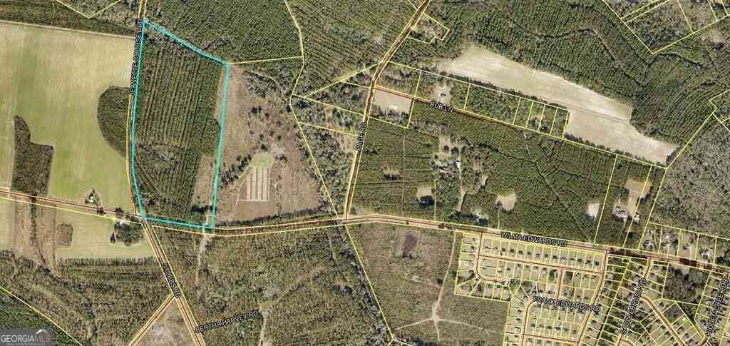 Vacant Land For Sale - Wilma Edwards Road<br/> Bryan County, Ellabell, GA 31308