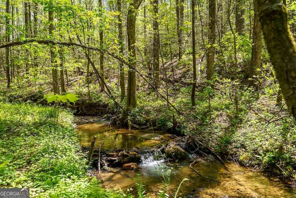 Vacant Land For Sale - Burnt Mountain Road<br/> Ellijay, GA 30536