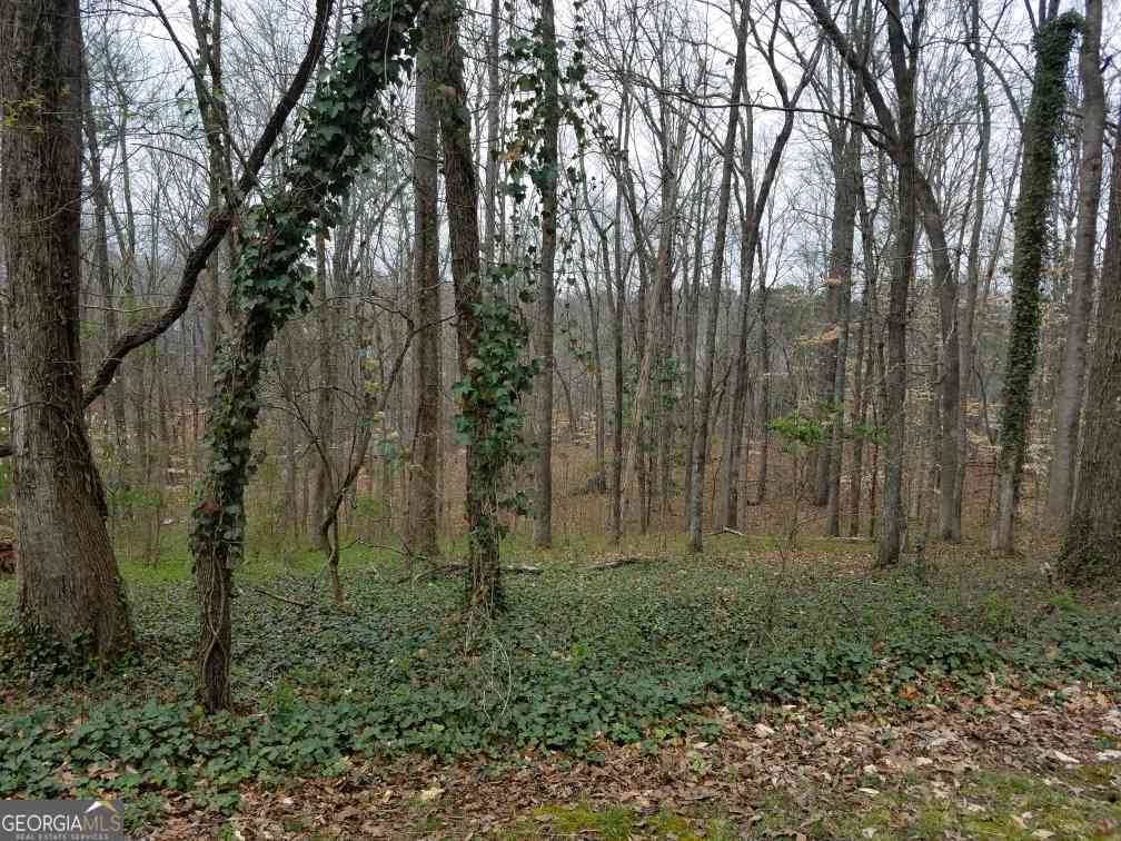 Vacant Land For Sale - 4633 Post Oak Tritt Road #24<br/> Marietta, GA 30062