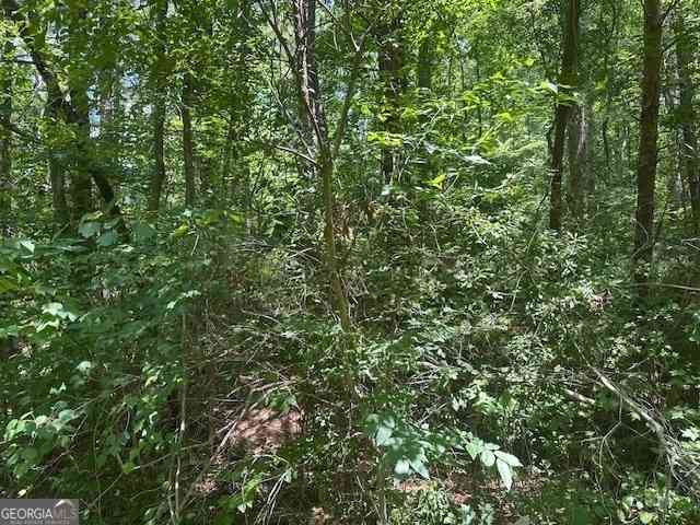 Vacant Land For Sale - 57 Dogwood Trail<br/> Martin, GA 30557