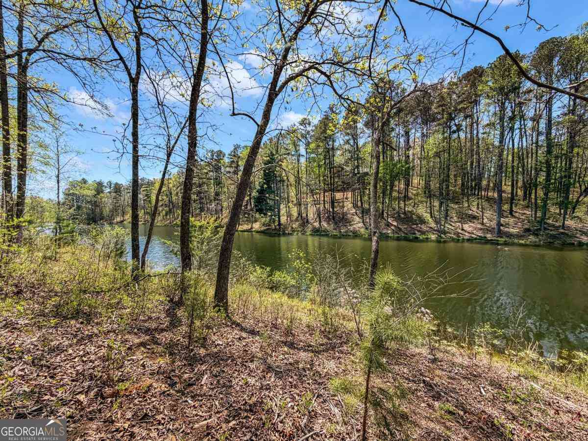 Vacant Land For Sale - 177R Overlook Drive<br/> Ellijay, GA 30536