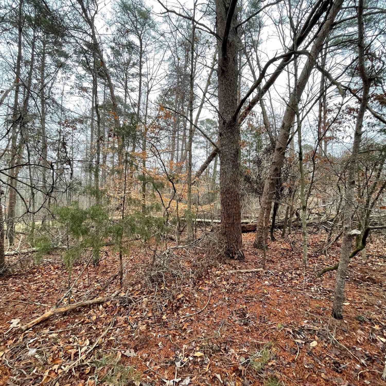 Vacant Land For Sale - LOT 840-841 Player Lane<br/> Oconee County, Westminster, SC 29693