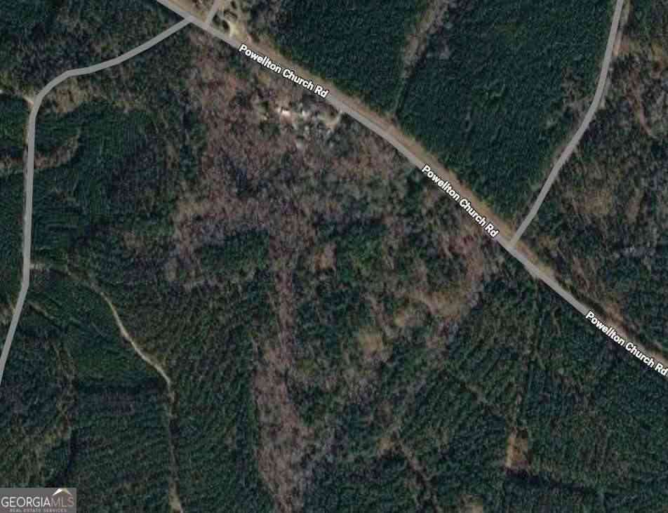 Vacant Land For Sale - 221-004<br/> Hancock County, Sparta, GA 31087
