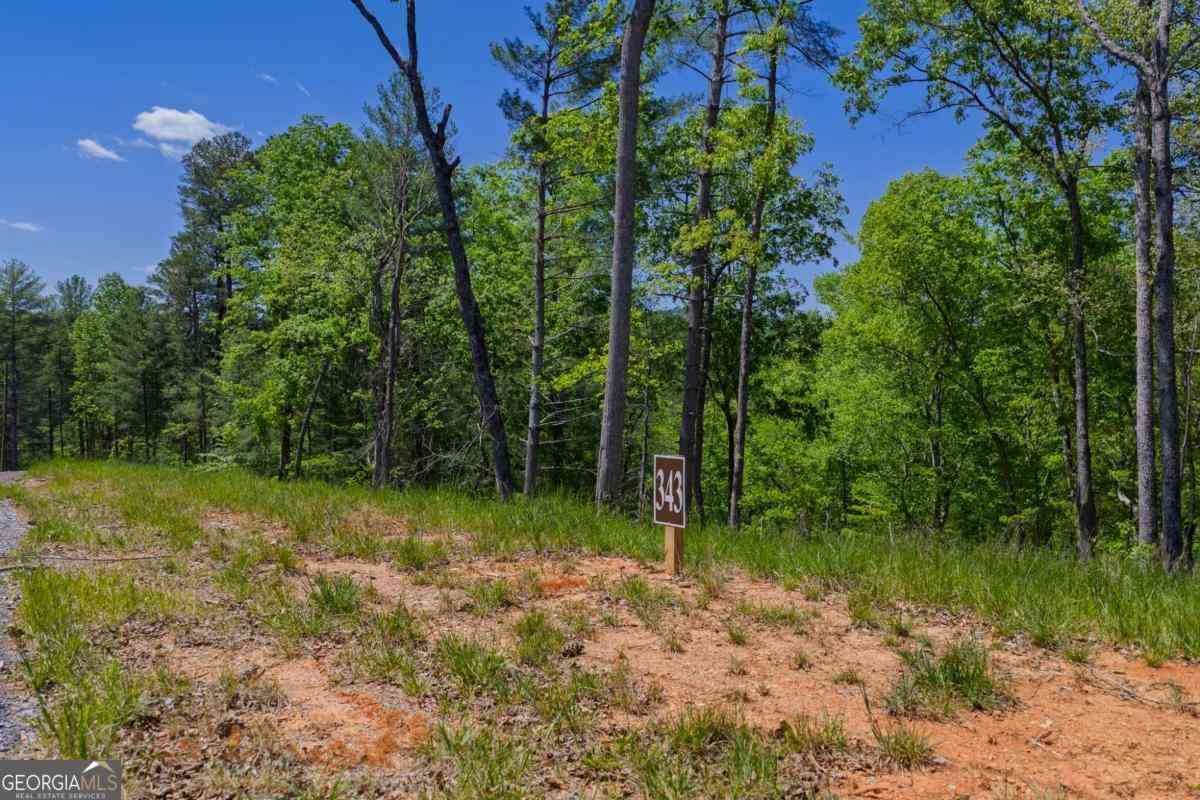 Vacant Land For Sale - LOT 343 Shallow Branch Drive<br/> Talking Rock, GA 30175