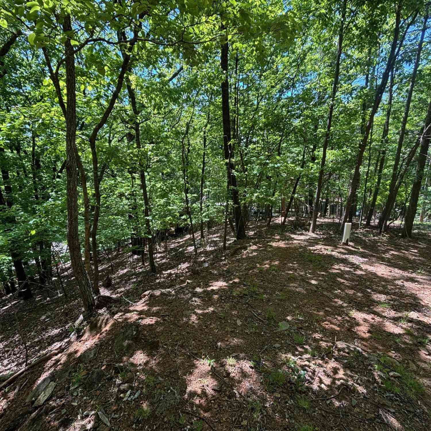 Vacant Land For Sale - Lookout Ridge Road #11<br/> Cleveland, GA 30528