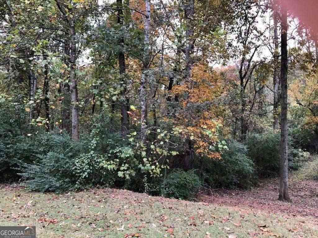 Vacant Land For Sale - 5972 Giles Road<br/> Lithonia, GA 30058