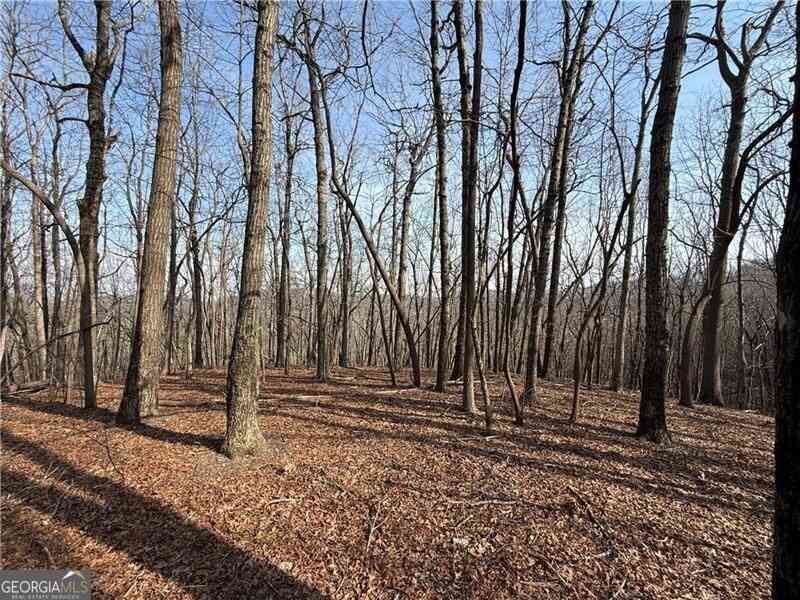 Vacant Land For Sale - Burnt Mtn Cove Road<br/> Jasper, GA 30143