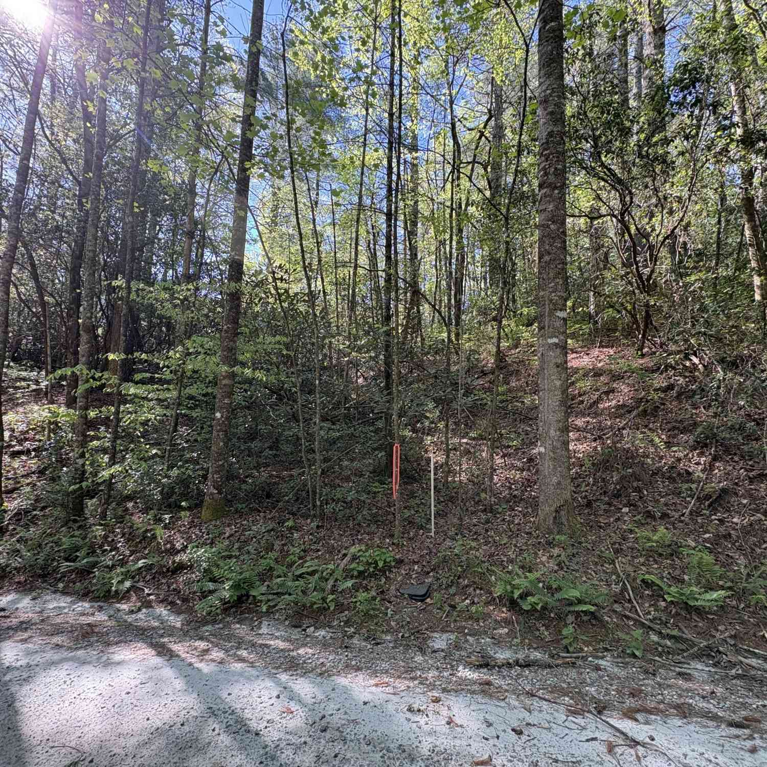 Vacant Land For Sale - Western Way<br/> Rabun Gap, GA 30568