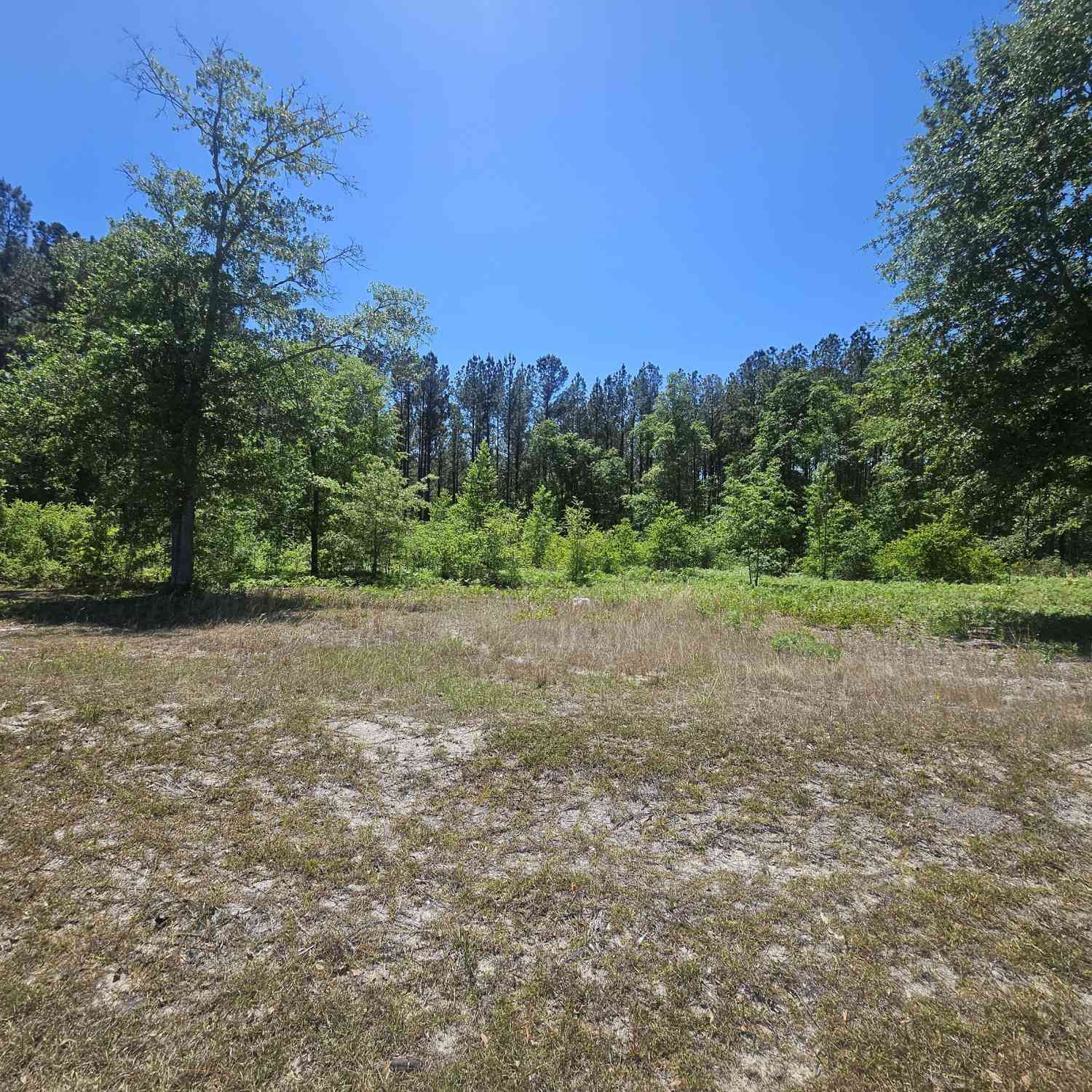 Vacant Land For Sale - Edgar Lane Road<br/> Millen, GA 30442