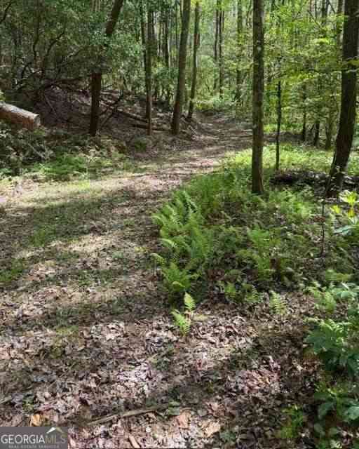Vacant Land For Sale - 348 Hemlock Trail<br/> Ellijay, GA 30540