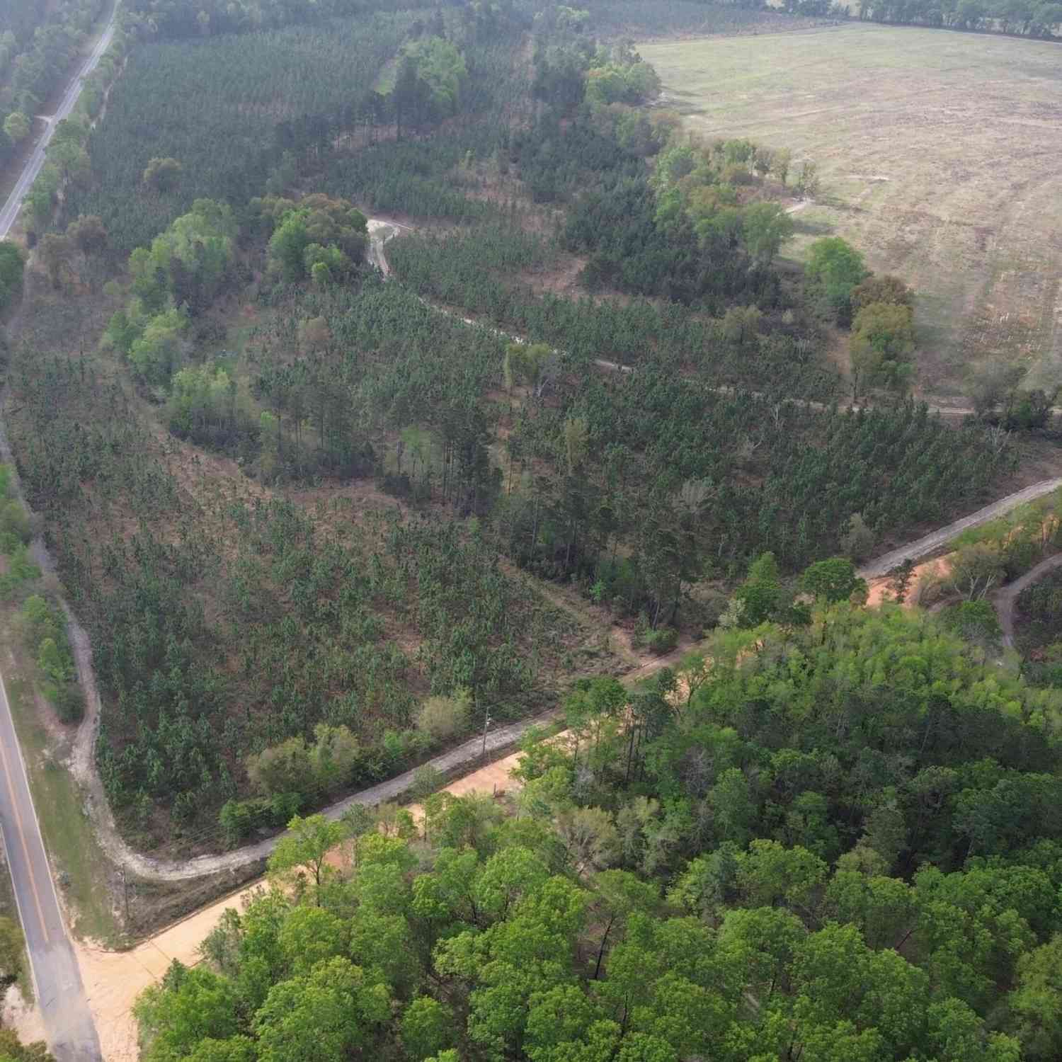 Vacant Land For Sale - 001 Old Poor Robin Tract 1<br/> Sylvania, GA 30467