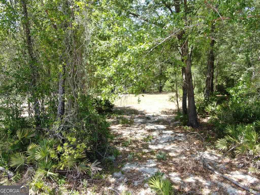 Vacant Land For Sale - 51 Coweta Road<br/> Brantley County, Hoboken, GA 31542