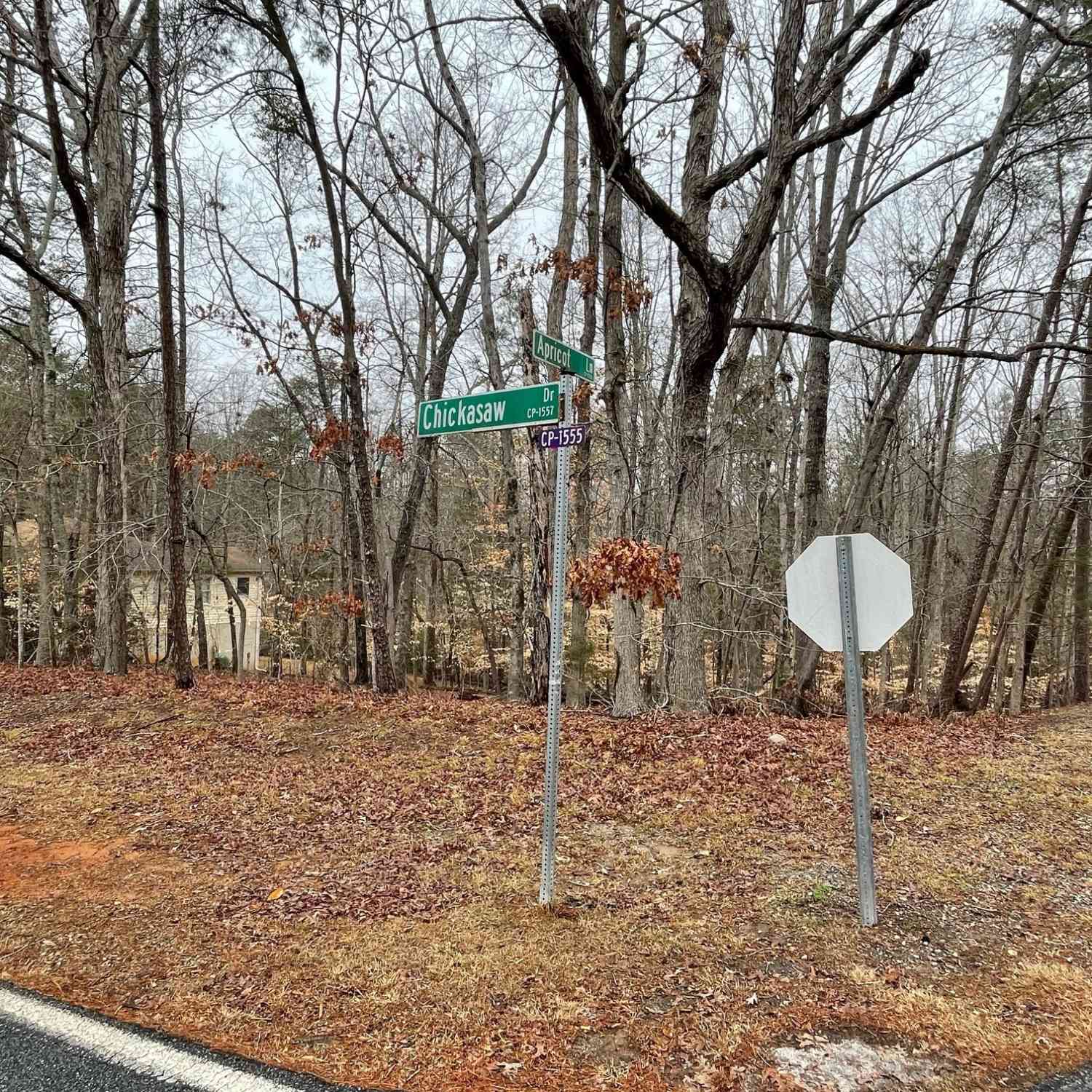 Vacant Land For Sale - LOT 43 Chickasaw Drive<br/> Oconee County, Westminster, SC 29693