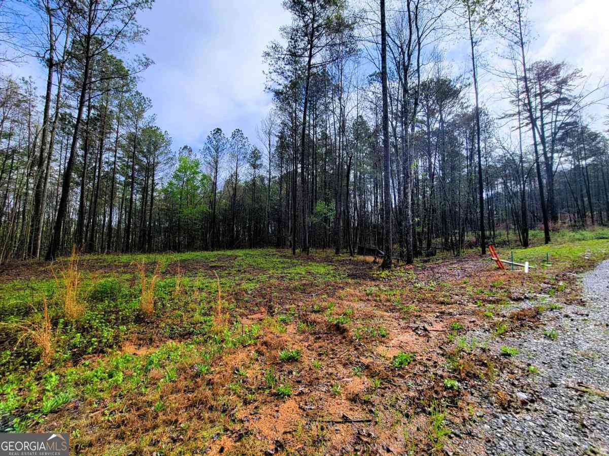 Vacant Land For Sale - 191 Mountaingate Way<br/> Ellijay, GA 30536