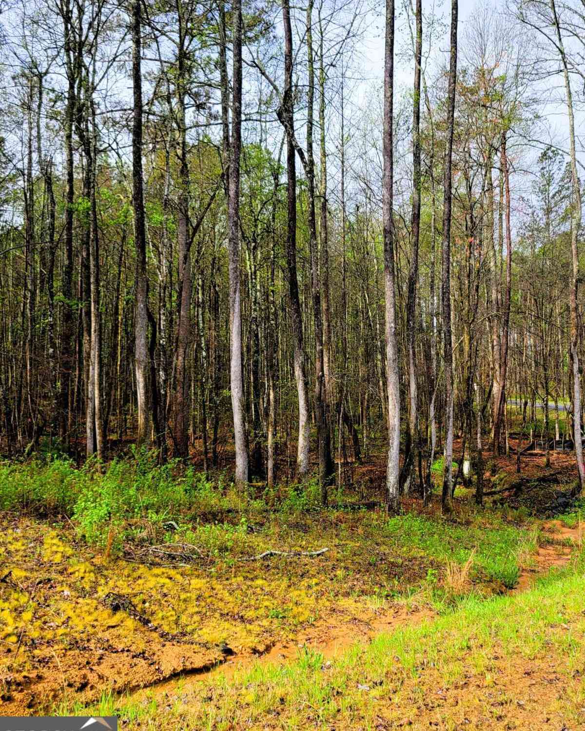 Vacant Land For Sale - 22 Mountaingate Way<br/> Ellijay, GA 30536