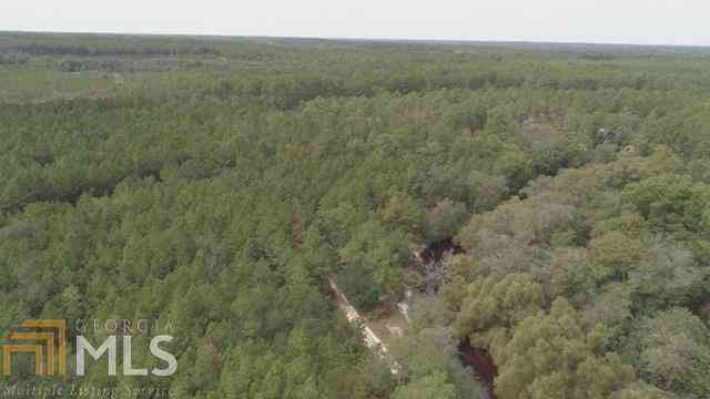 Vacant Land For Sale - Area Line Road<br/> Claxton, GA 30417