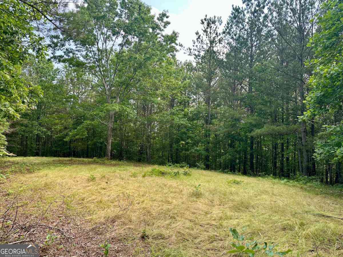Vacant Land For Sale - 125 Patriot View Drive<br/> Lumpkin County, Dahlonega, GA 30533