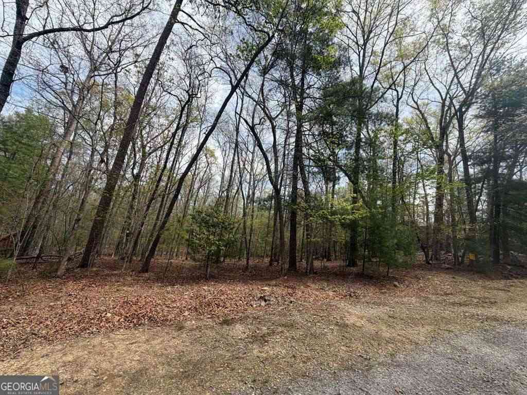 Vacant Land For Sale - # 2 Amber Way<br/> Morganton, GA 30560