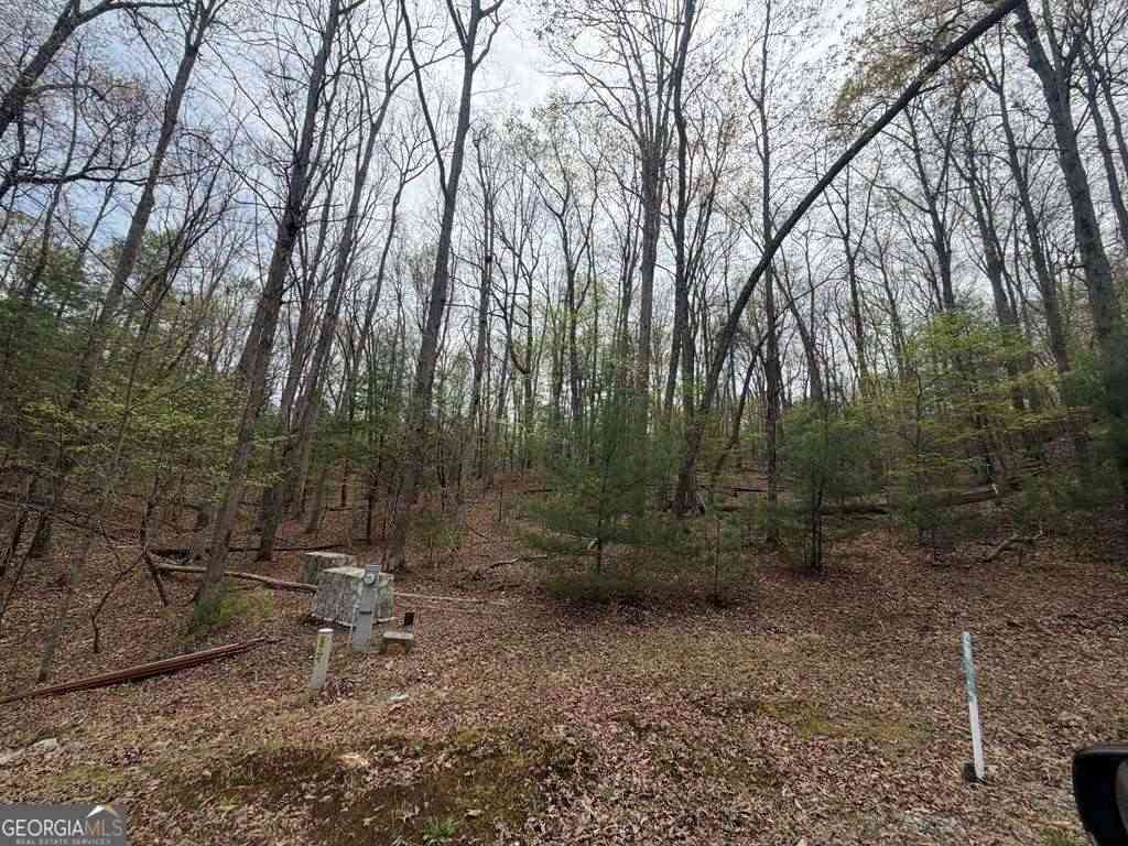 Vacant Land For Sale - #16 Christian Crossing<br/> Morganton, GA 30560