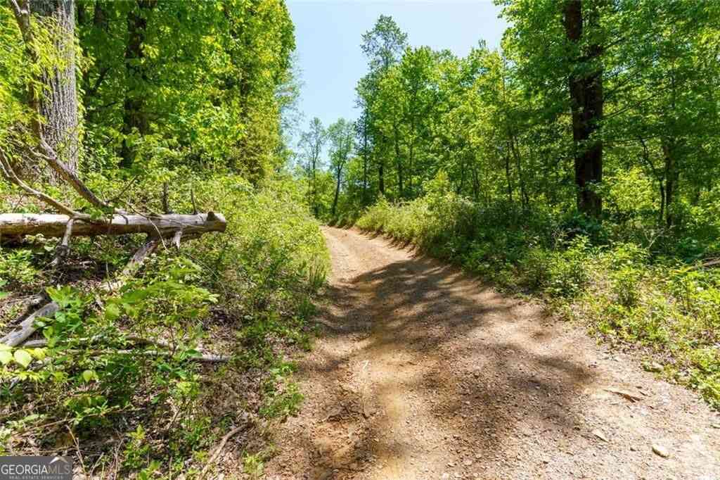Vacant Land For Sale - Fire Tower Road #LOT 7<br/> Jasper, GA 30143