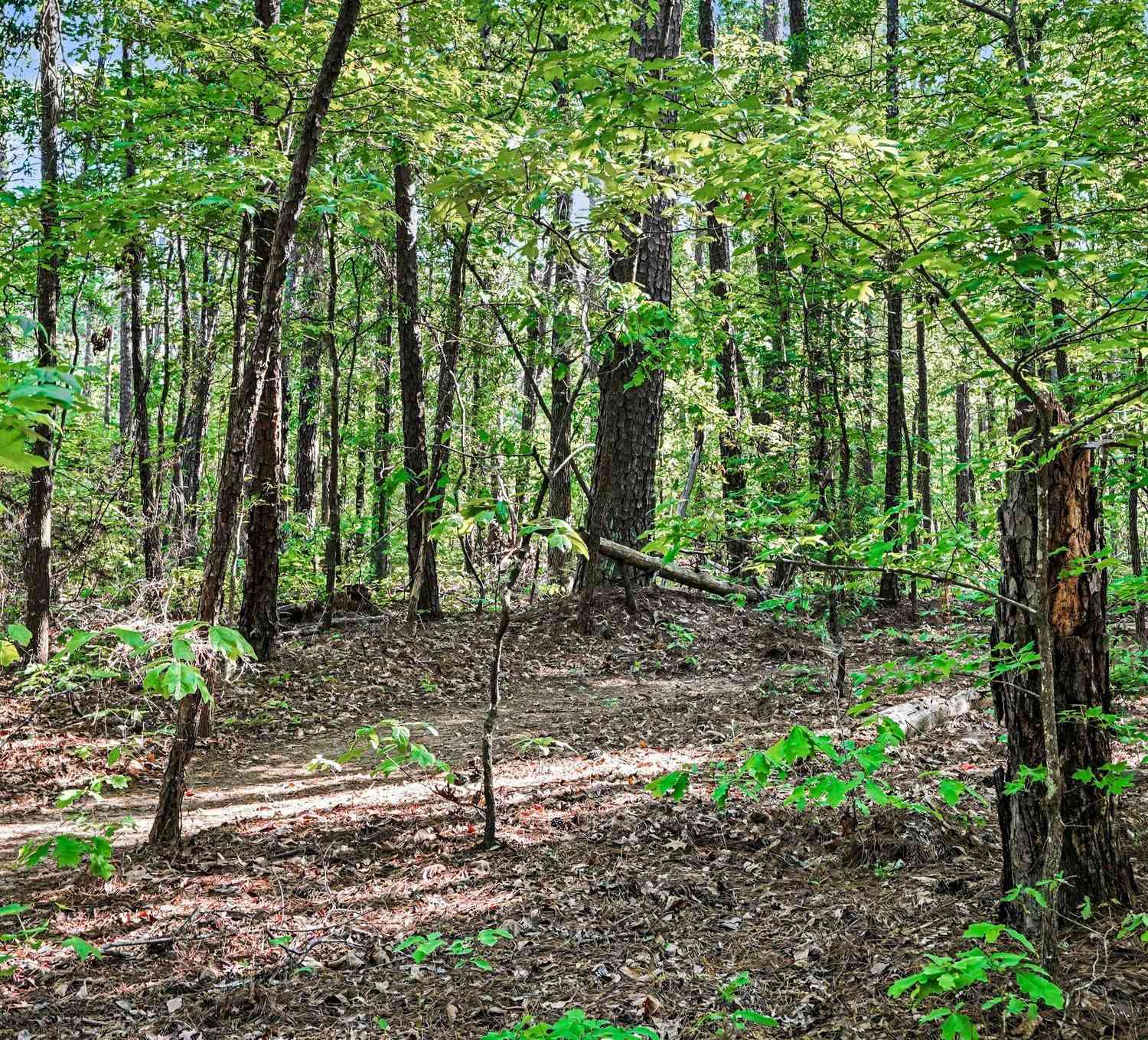 Vacant Land For Sale - Ham Road<br/> Jackson, GA 30233
